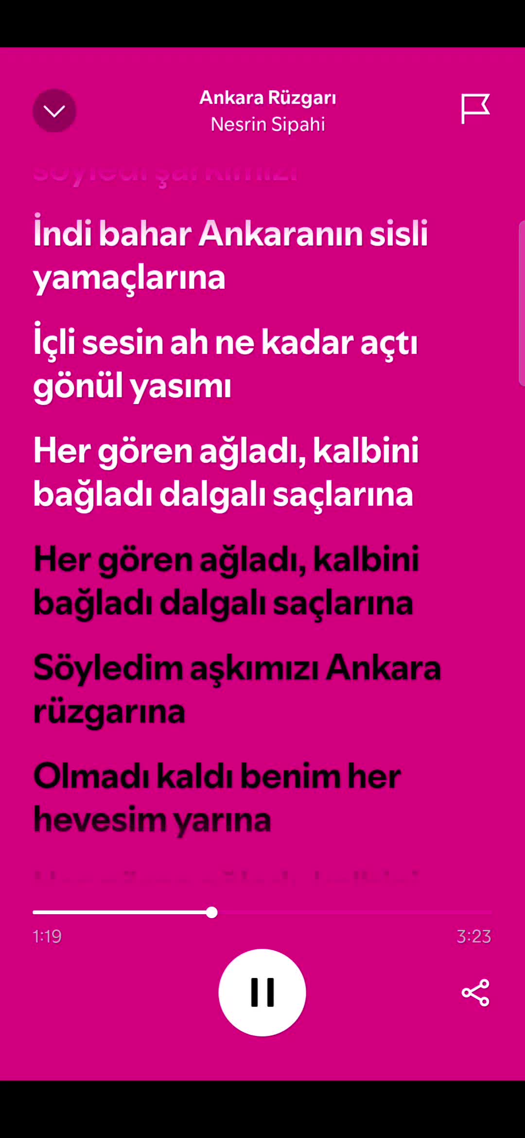 @spotifyy top
