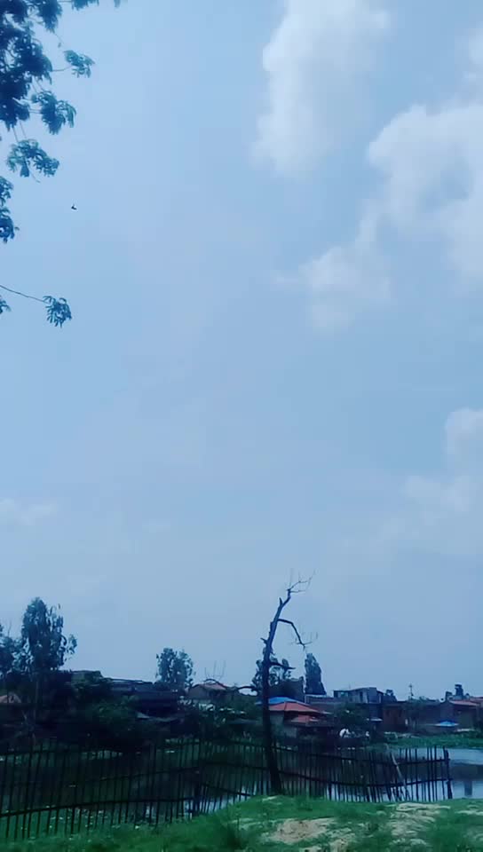 @Tiger Khan