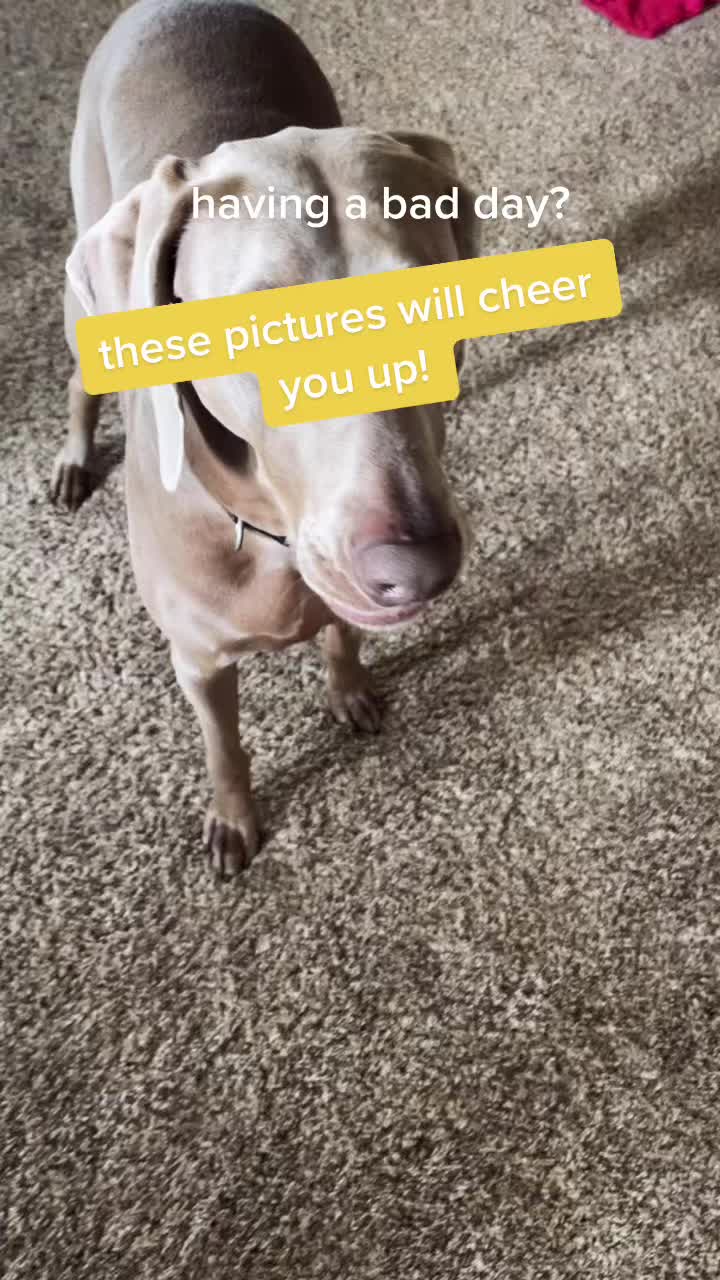 @Rebel🐶 🐾