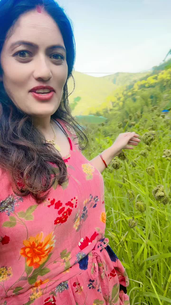@gangakhatri606