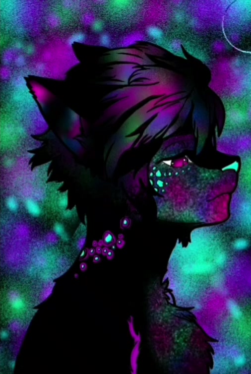 @wolfyeetx