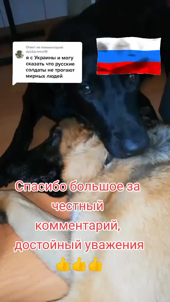 @Irinagerasimova