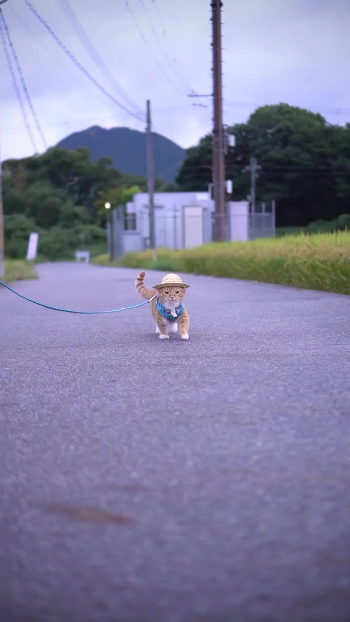 @銀太