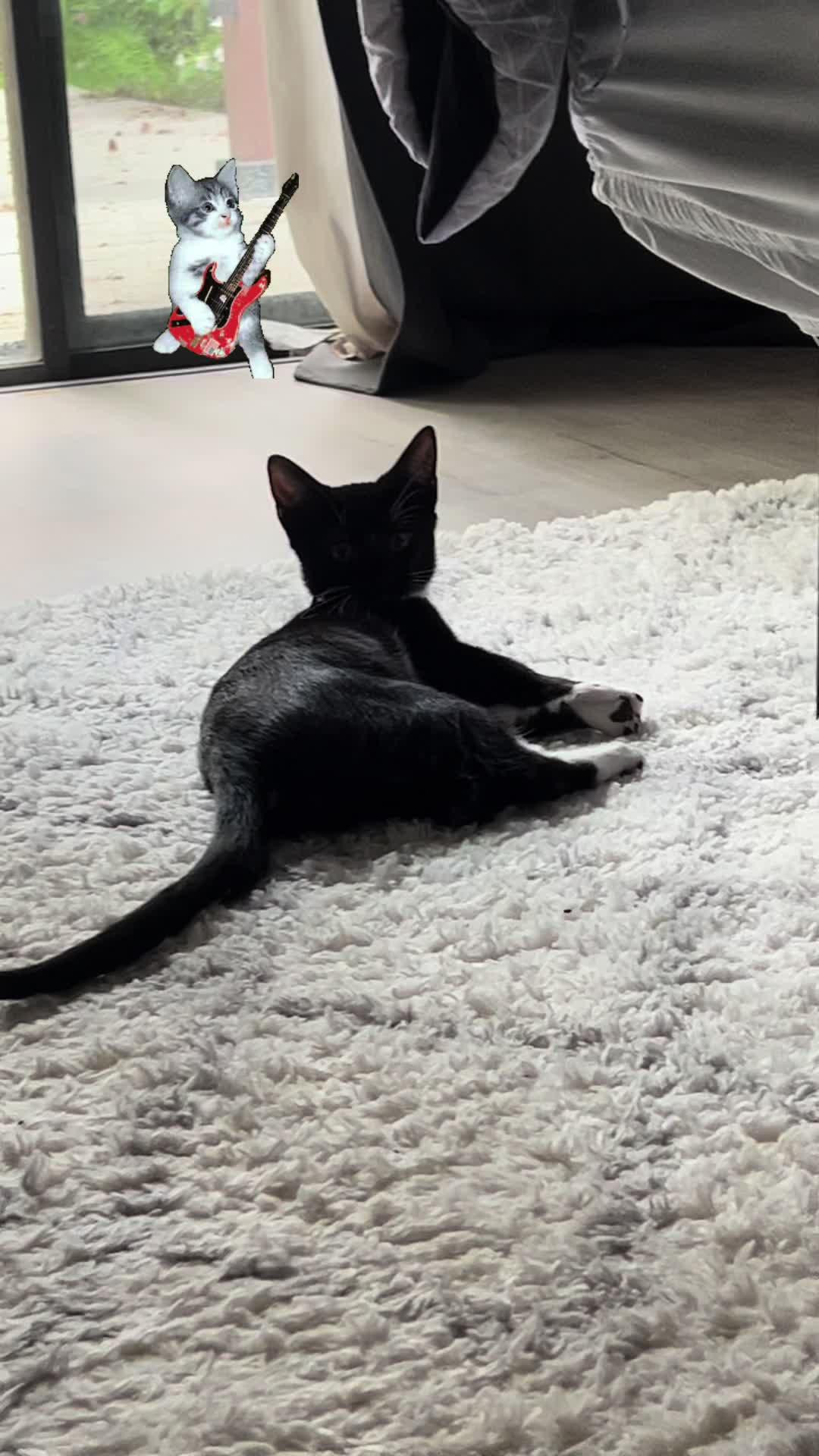 @Ryugyu Cat