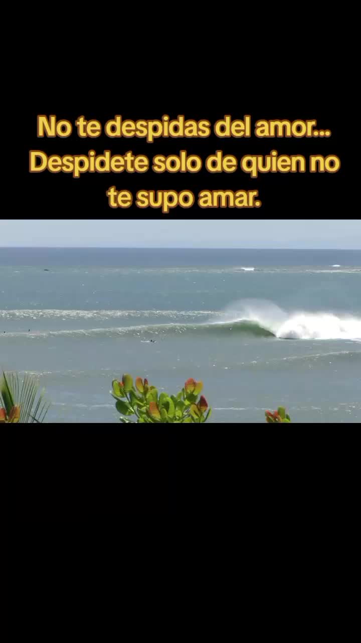 @💞𝑫𝒂𝒍𝒍𝒚𝒔𝒍𝑪𝒂𝒓𝒎𝒆𝒏💞