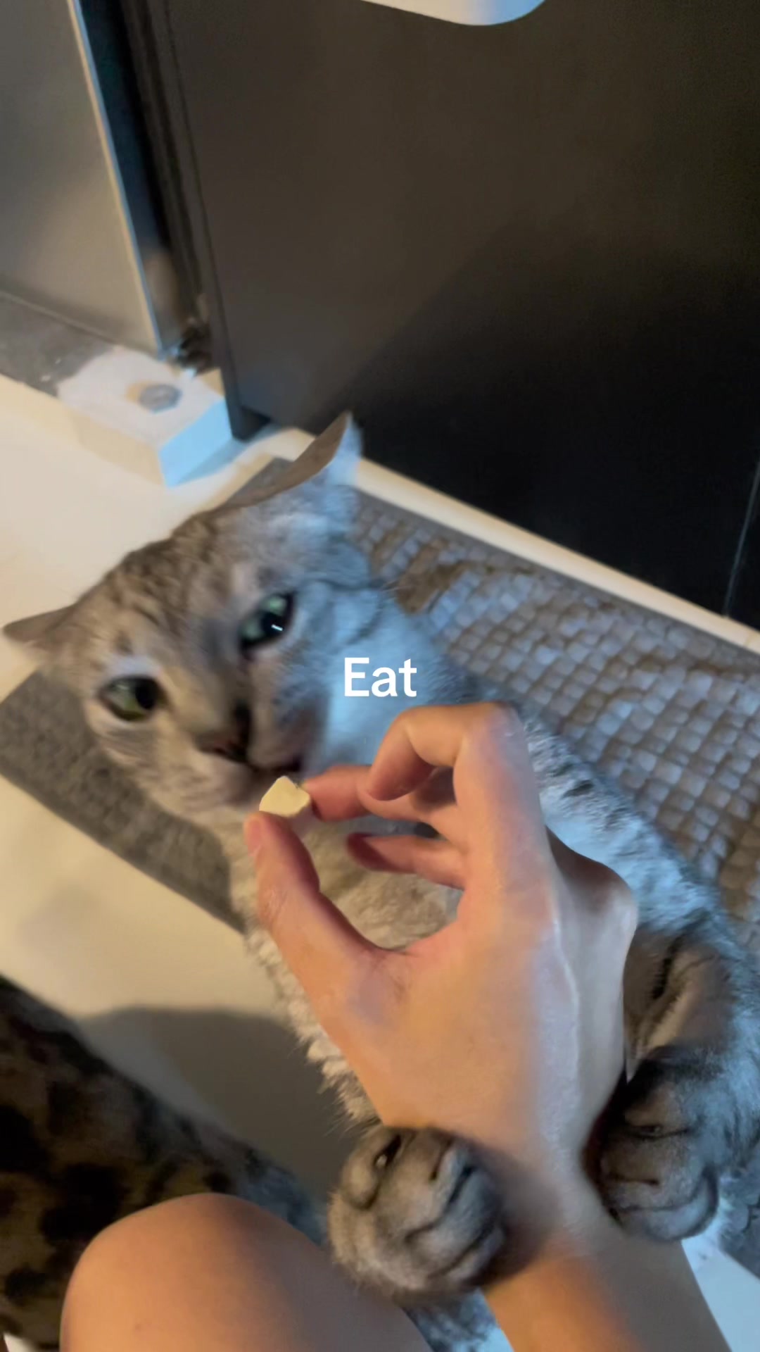 @Xyannism