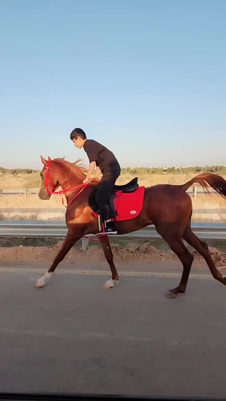 @عبدالله حمد التميمي jockey🏇🏿