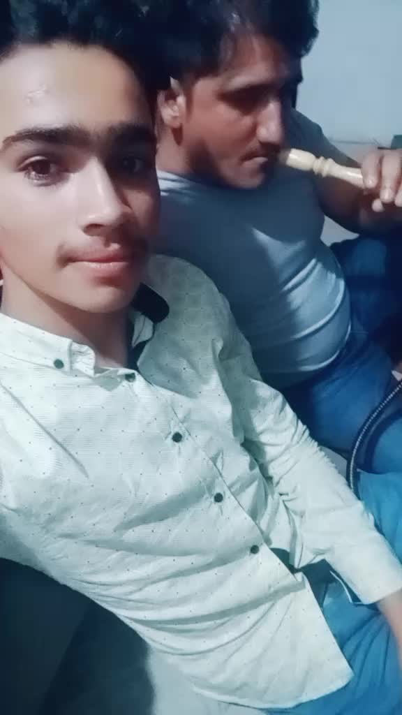 @gulfamdogar265