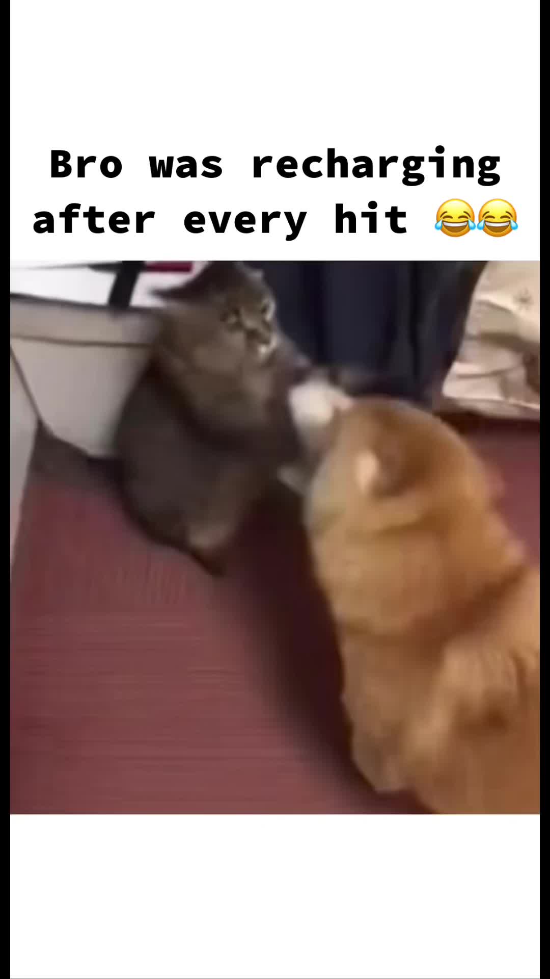 @Marco_1808