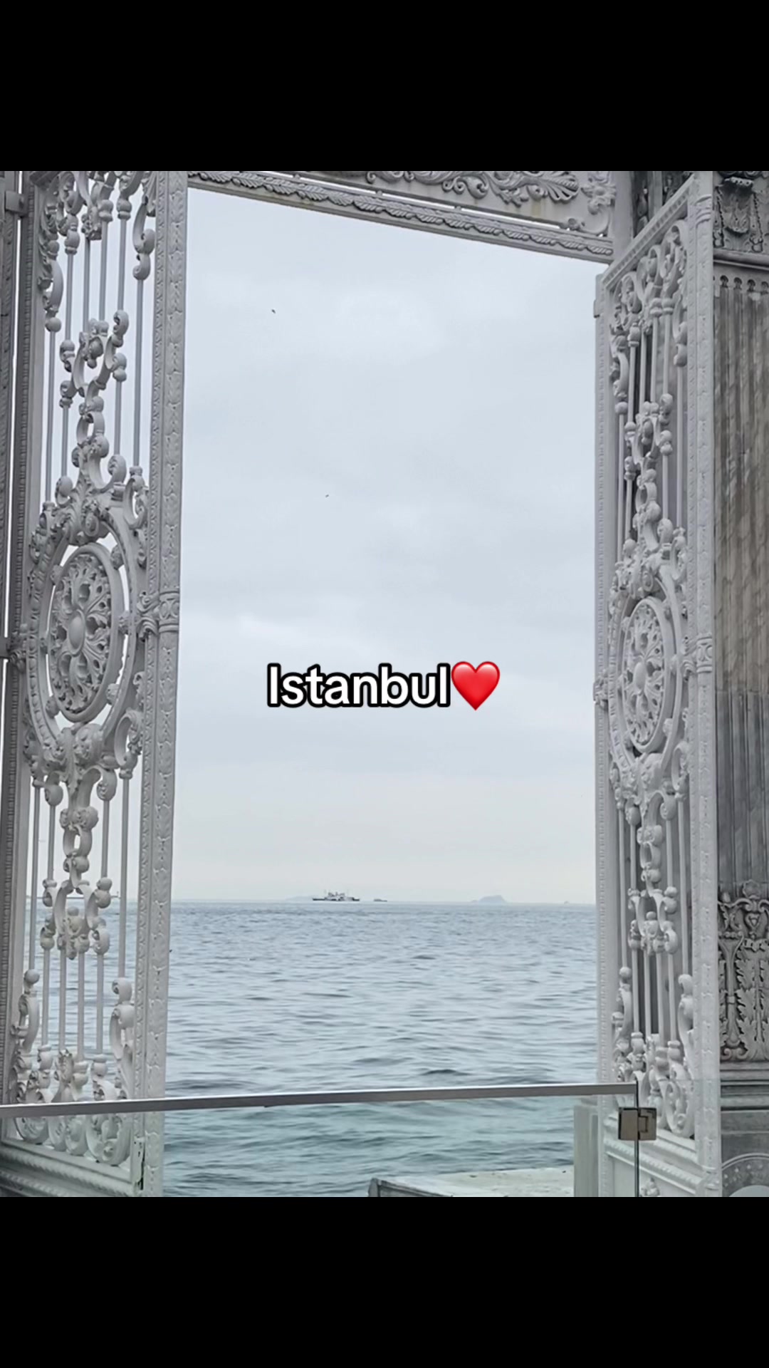 @@nurbolatqyzy_altyntas
