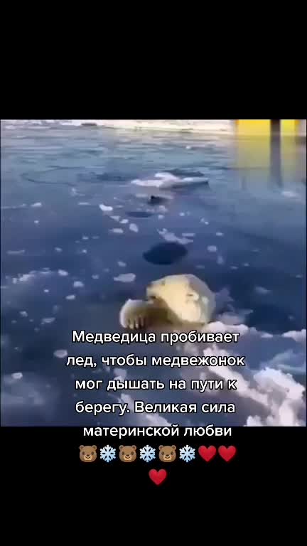 @Михаил Неустроев