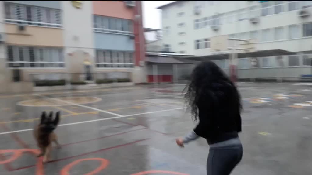 @Banu BOZKAYA