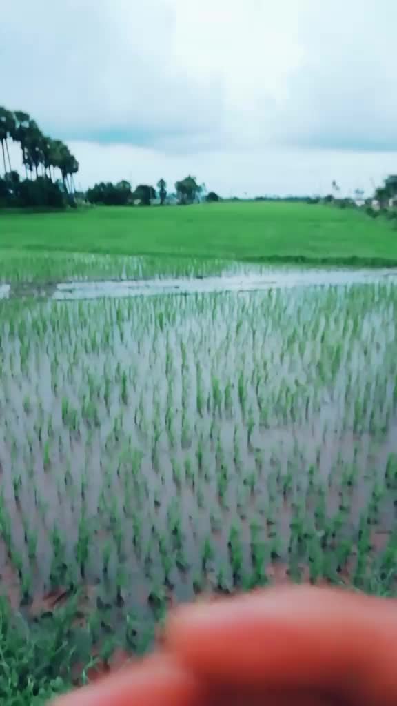 @Gunde Karunakar