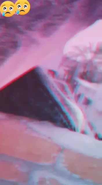 @ꜱʀᴠ〆ᴛɪɢᴇʀ