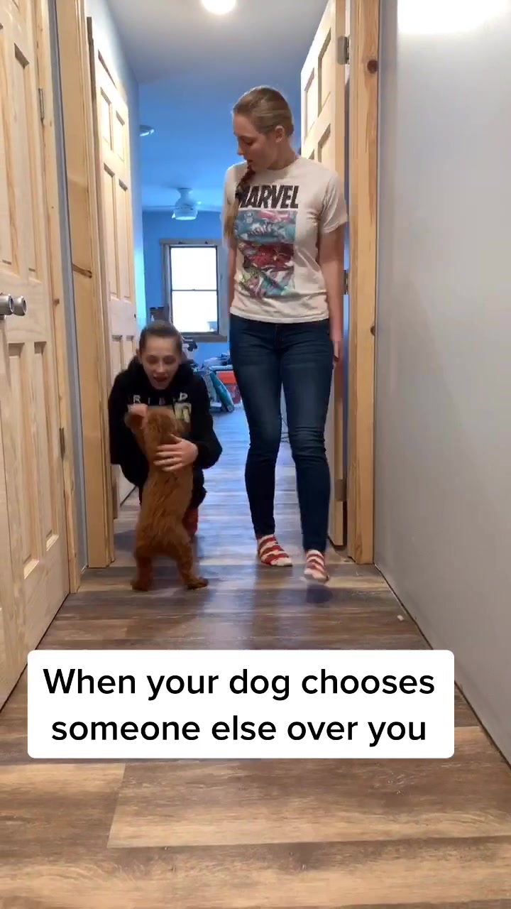 @Rynn