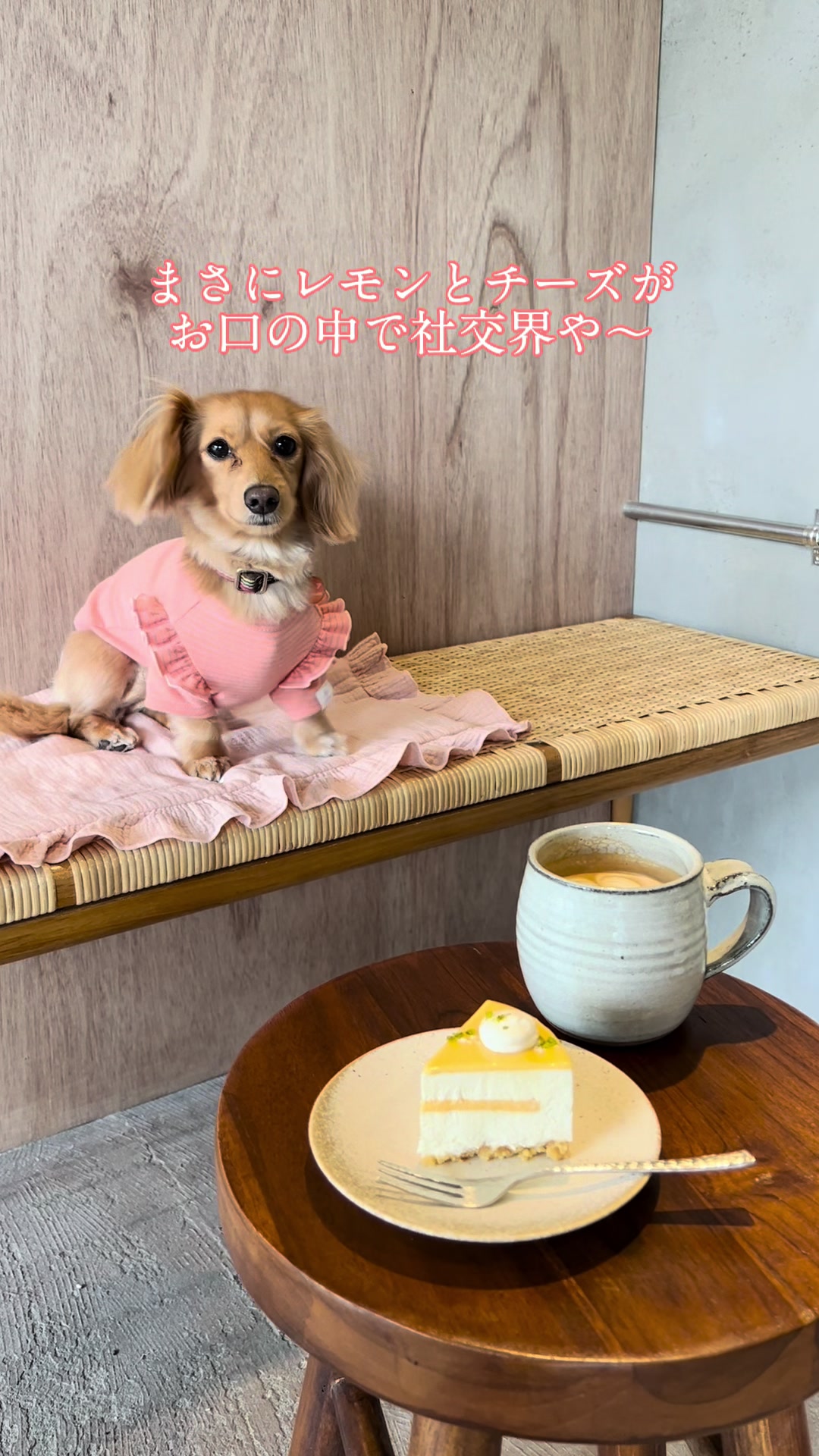@wanwanカフェ物語