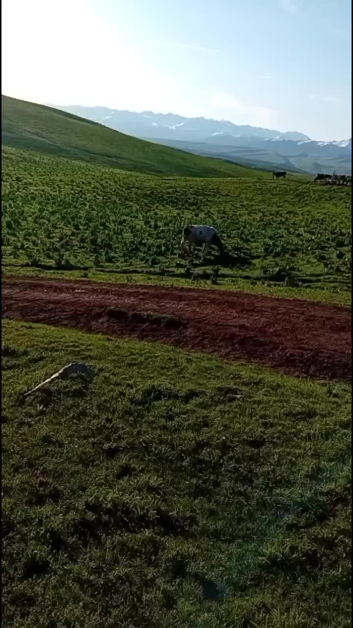 @Siri2009