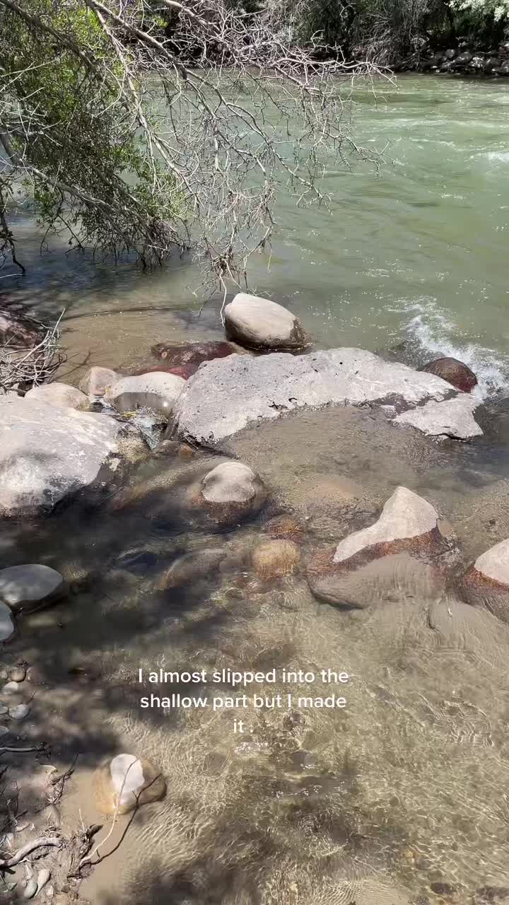 @Lulu.R