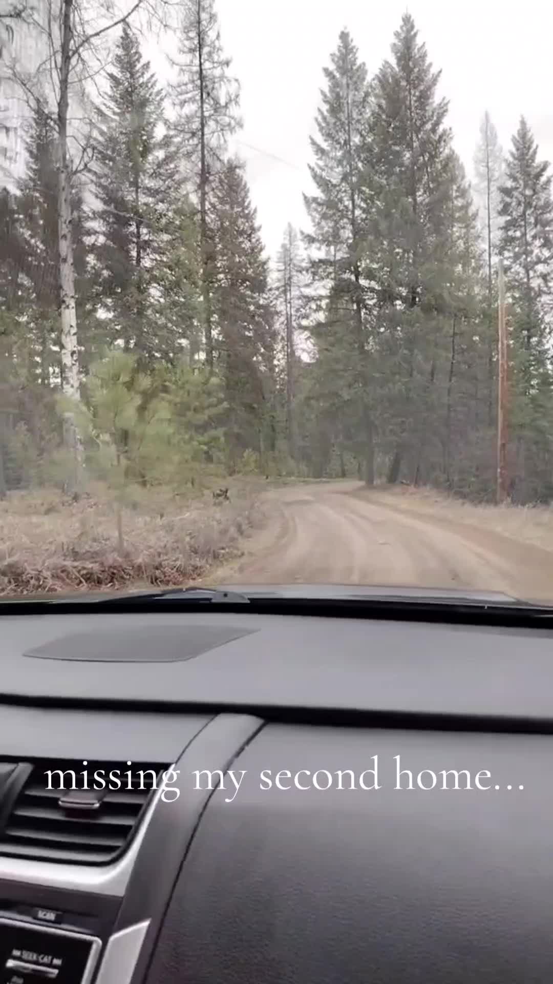 @Alta206