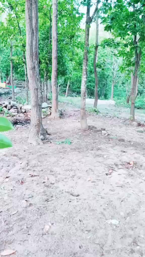 @Biswajit Dehury