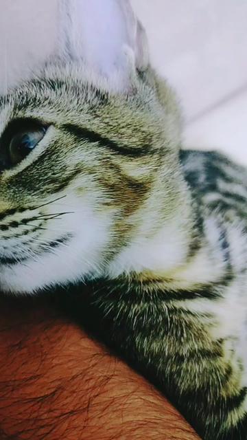 @uosᴉɐᗭ u&forall;