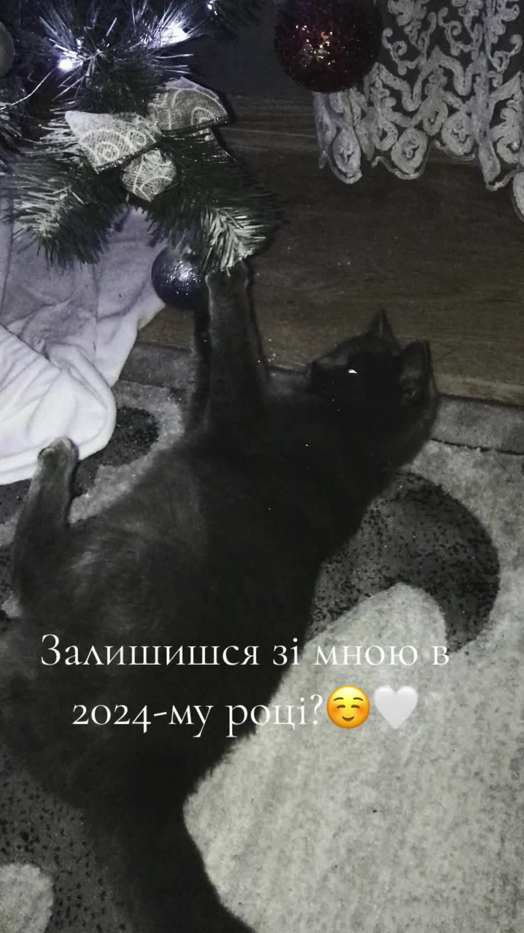 @Янка Квак