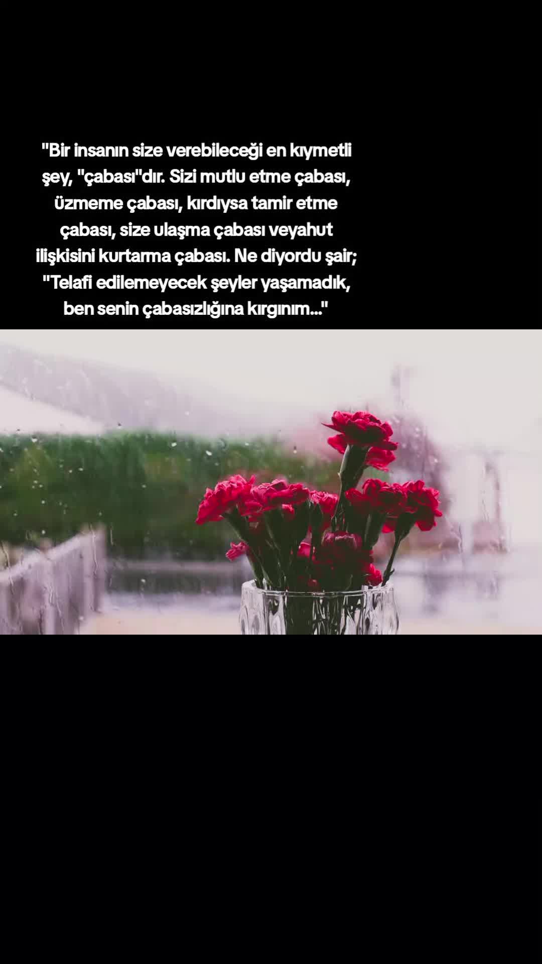 @özlem yanteri
