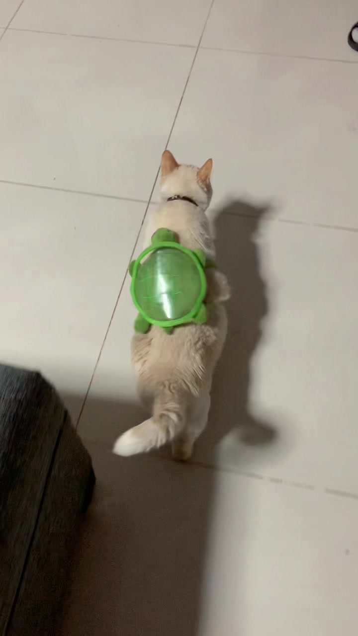 @𝑨𝐍𝐆𝐘
