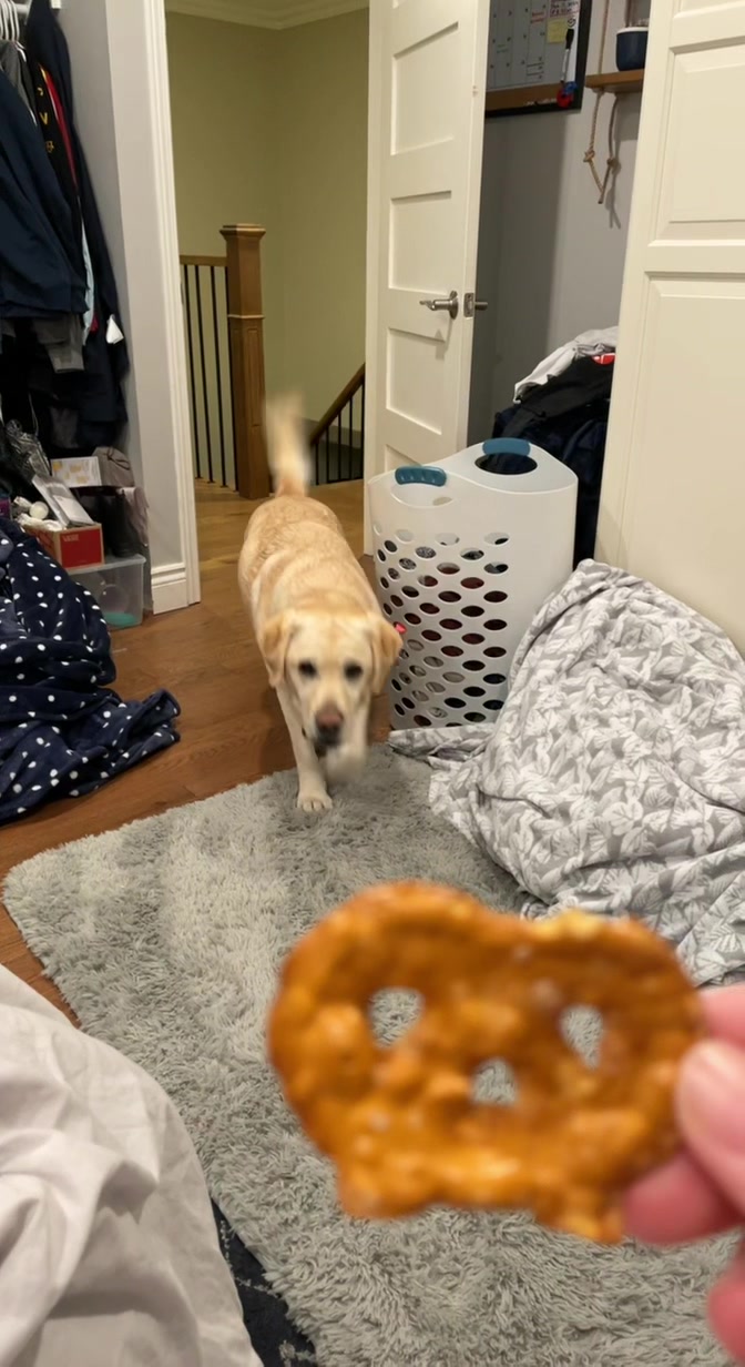 @the_lab_millie