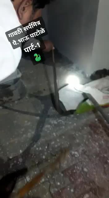@बाबा पाटोळे