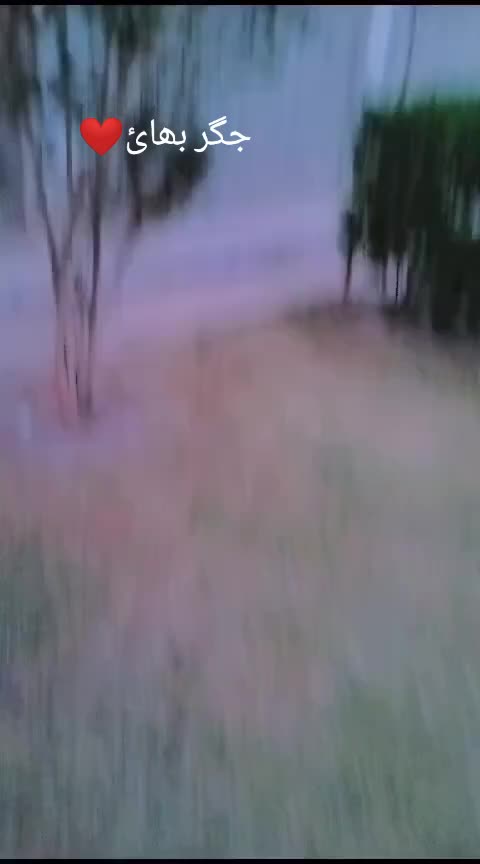 @🌳غرسنے🌲