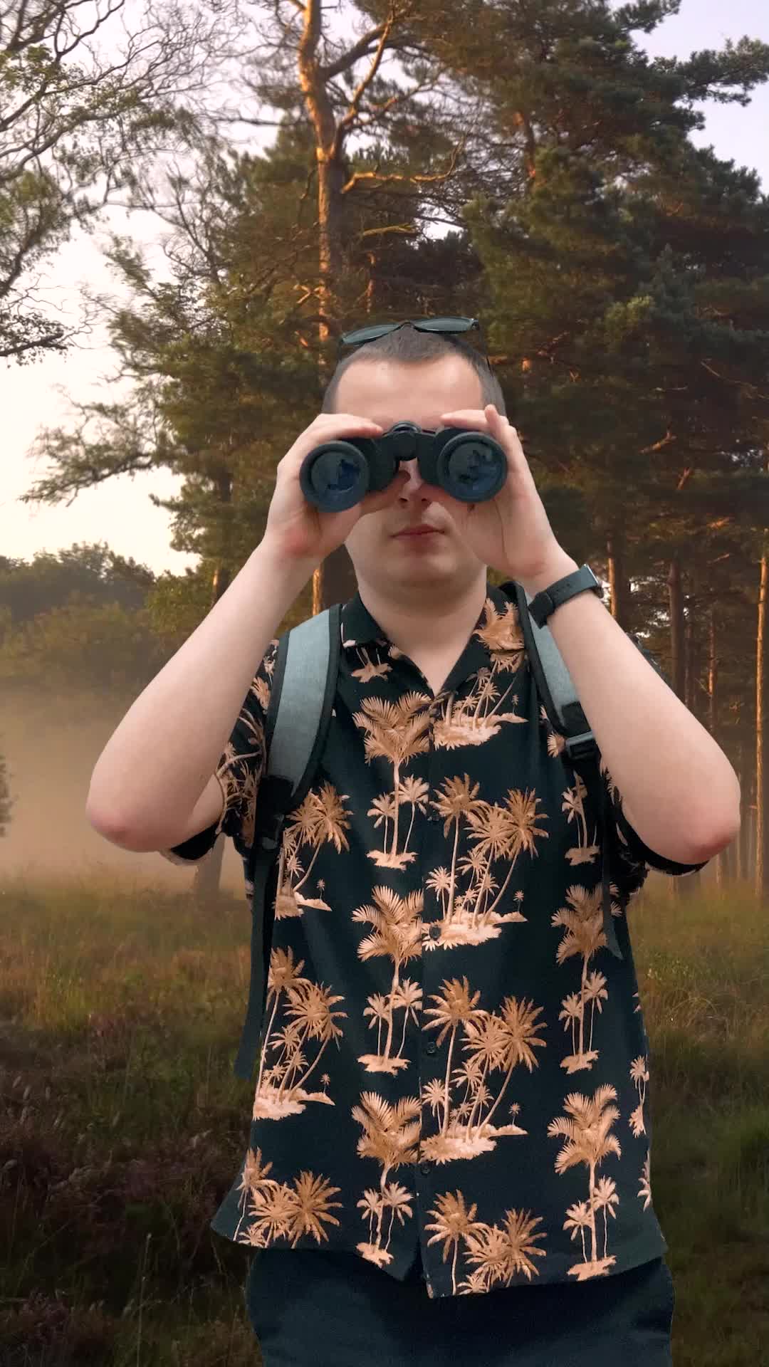 @BirdingSimulator