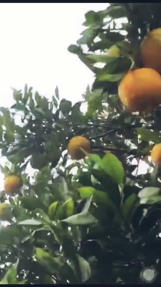 @SwathyShambu