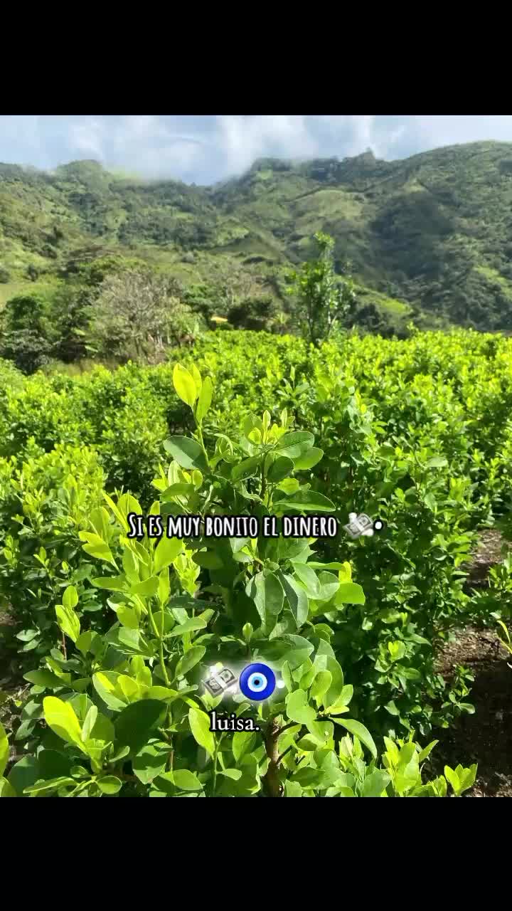 @.🌿
