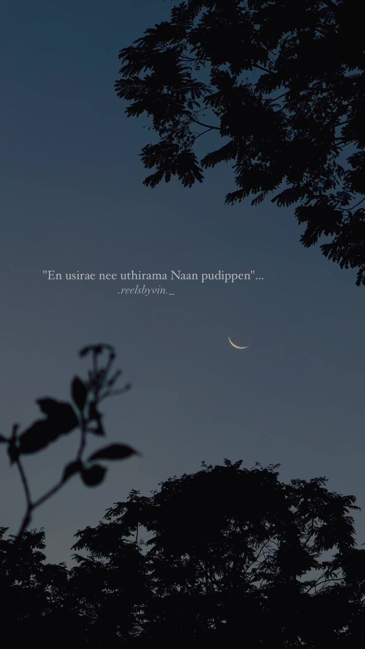@Kavin Raj Selvaraj