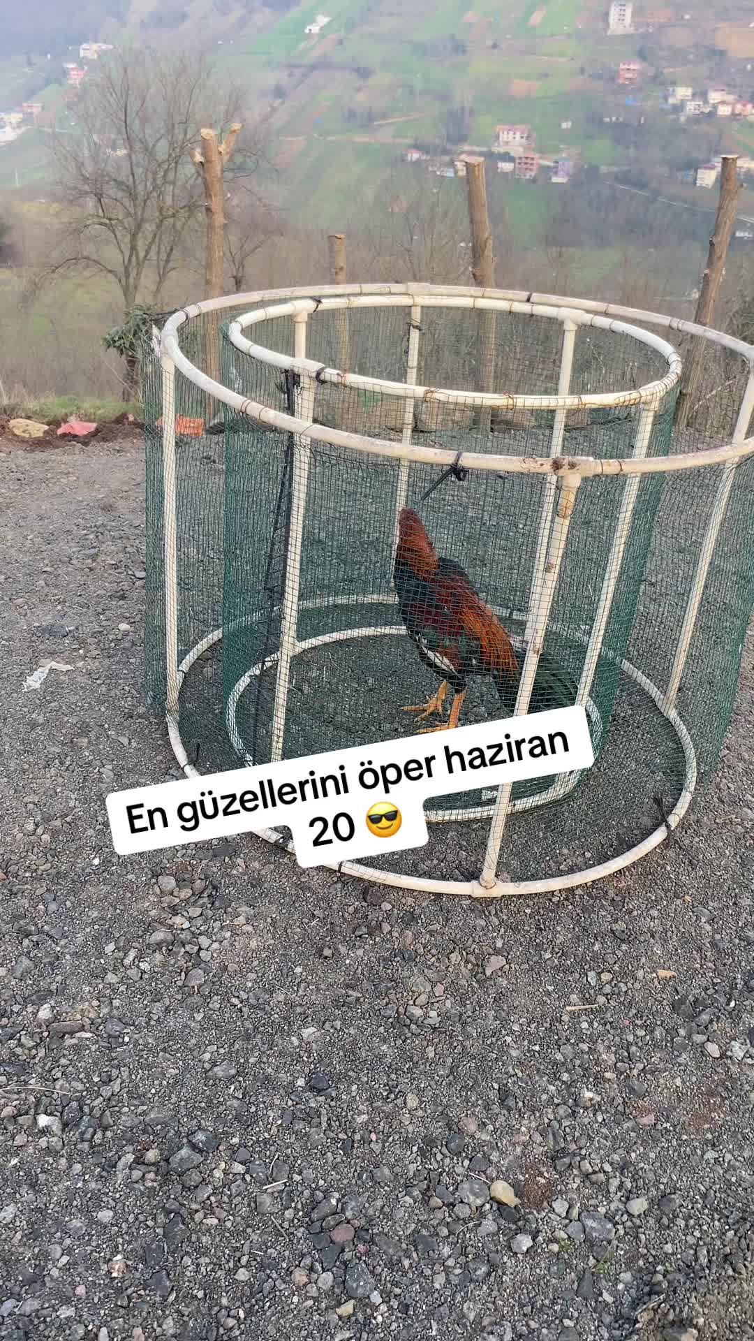 @6ertan1