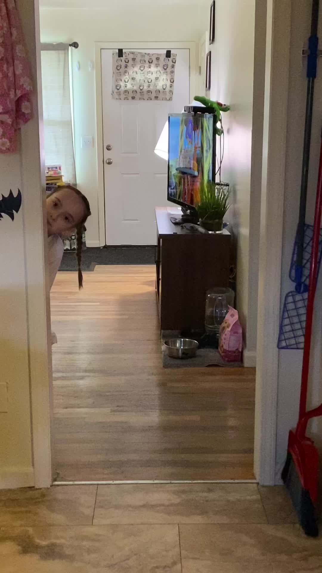 @ShadyCatt