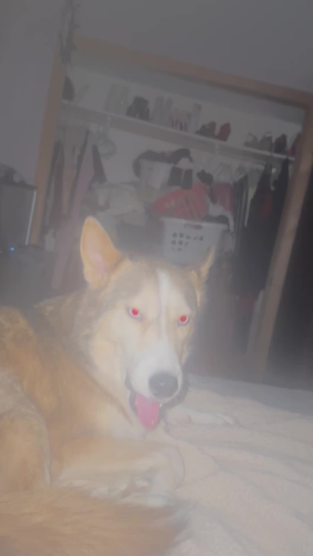 @Husky 6 Pack