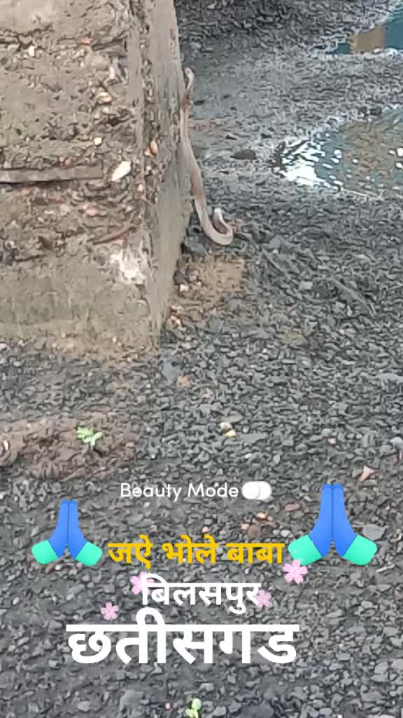 @Durgesh kumar Kewat