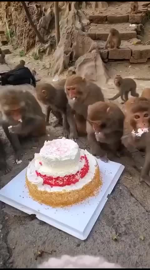 @Priyank sharma