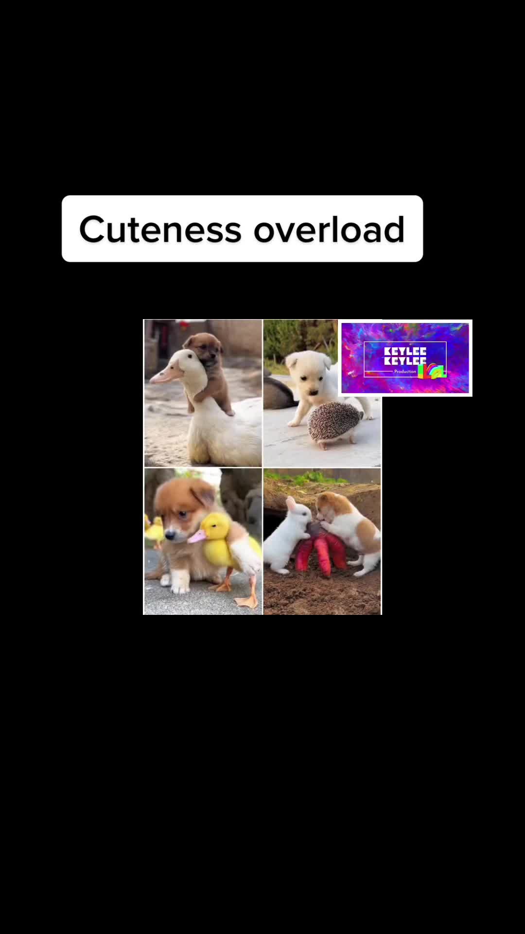 @Keylee Keylee