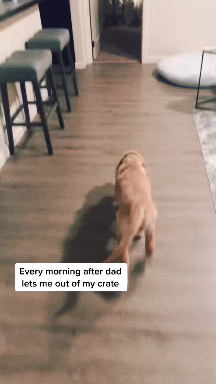 @George The Golden
