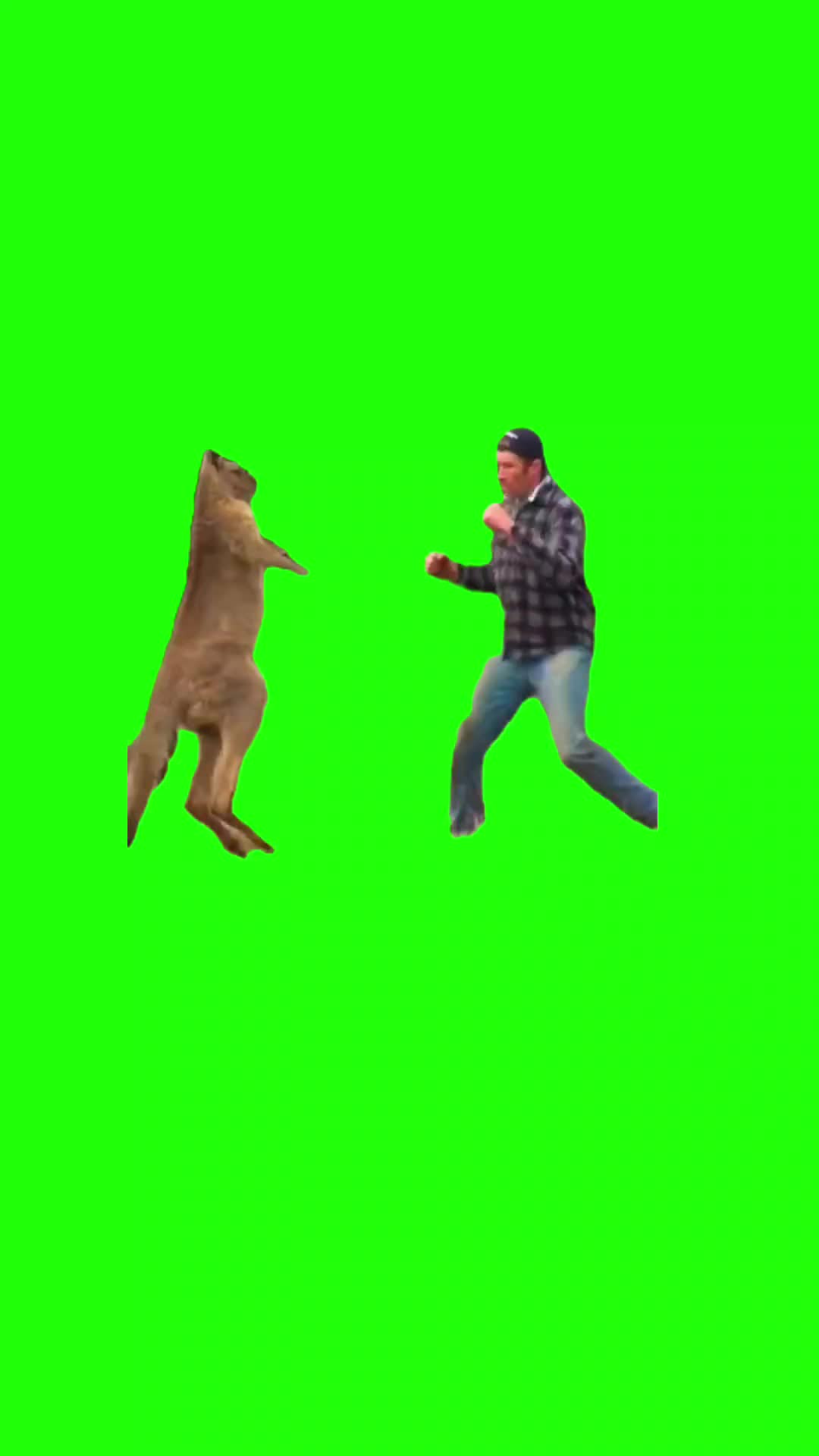 @Green Screens