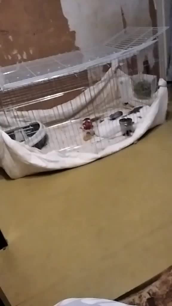 @просто настя