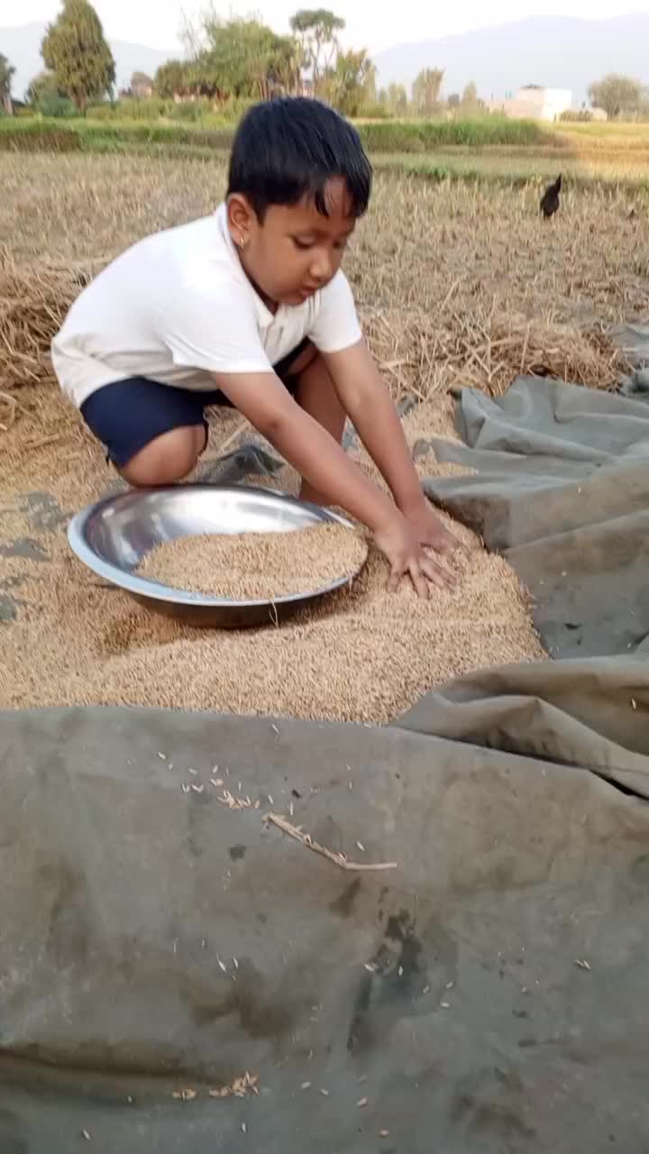 @Maya