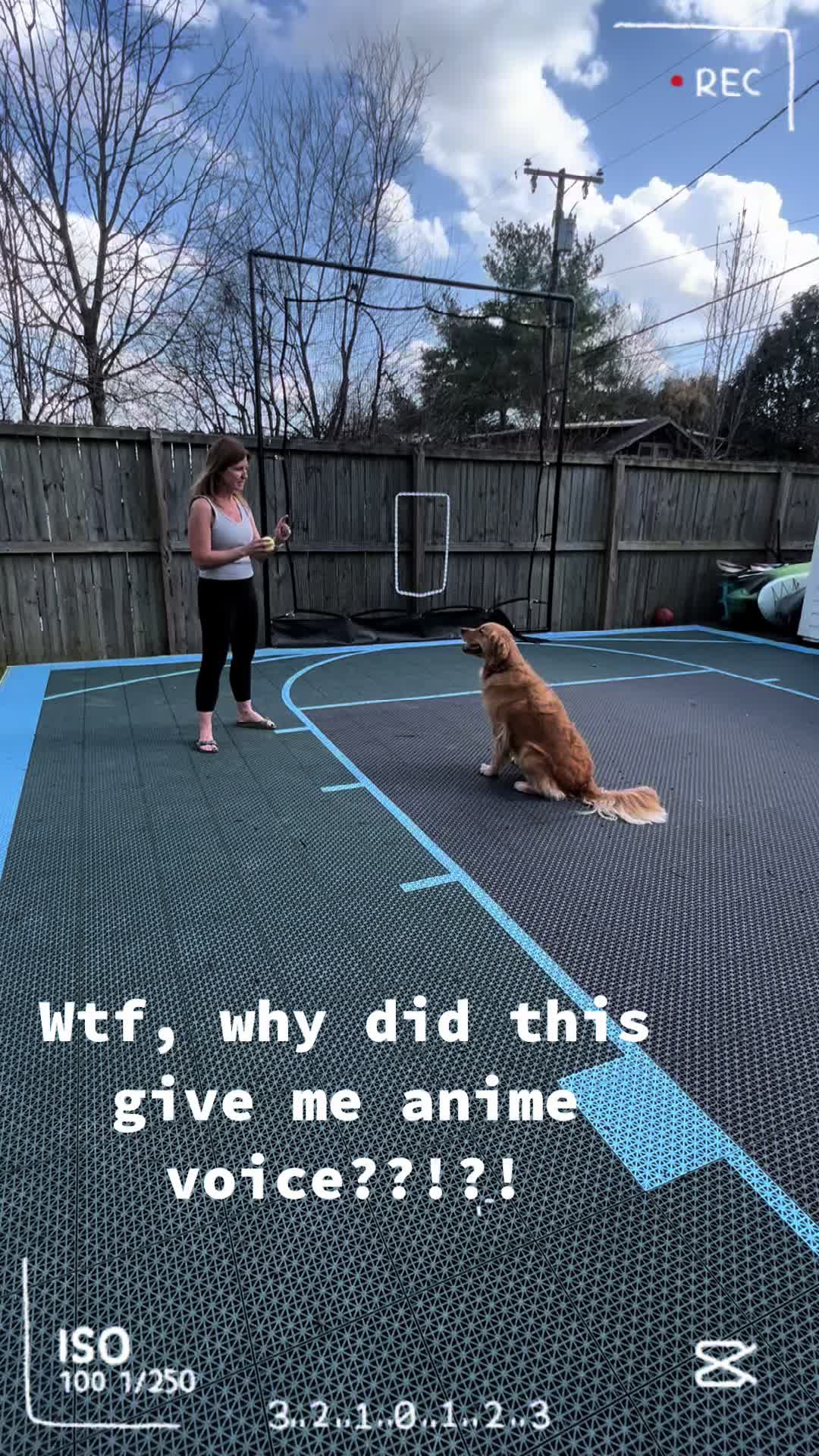 @caninecaravan615