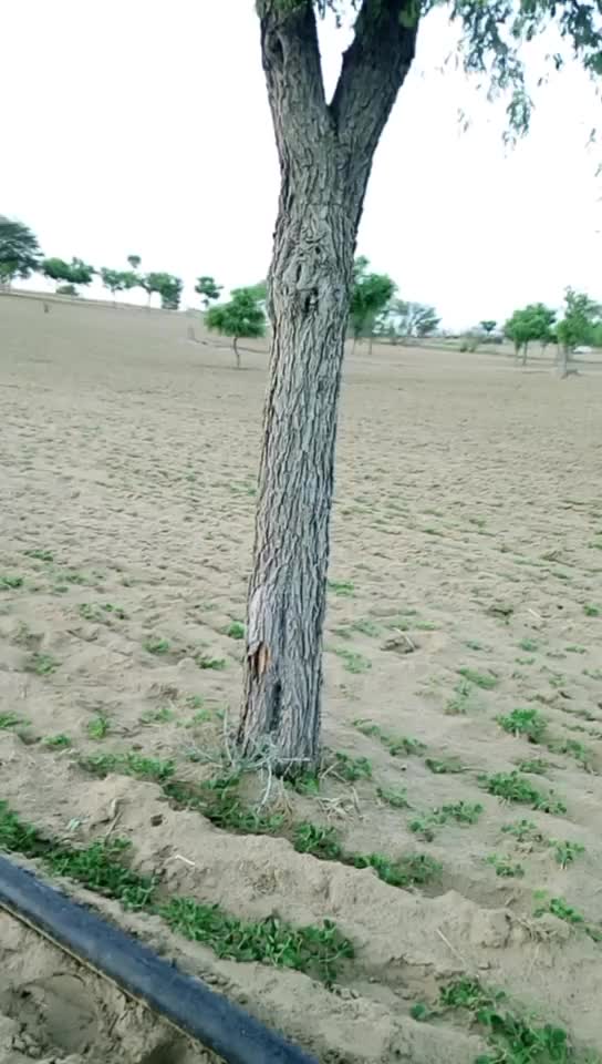 @BajaRang Jaat
