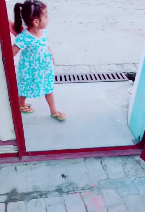 @Sekhonsaab