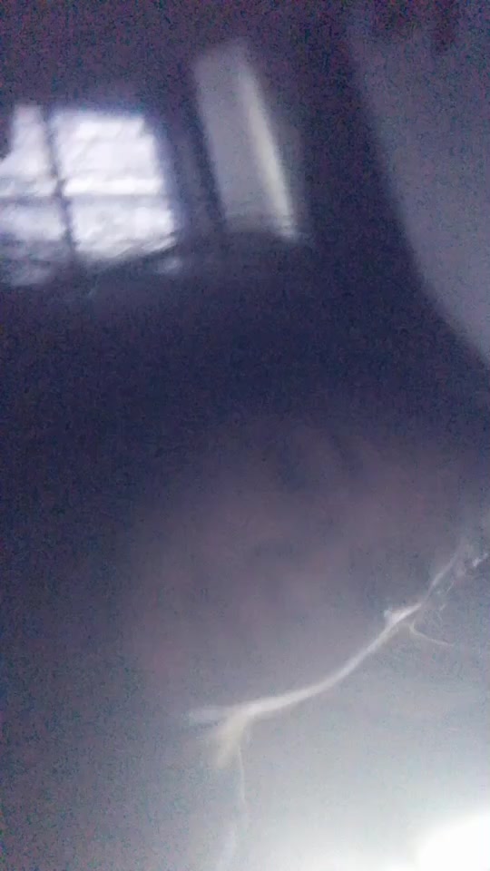 @maranda_kathryn