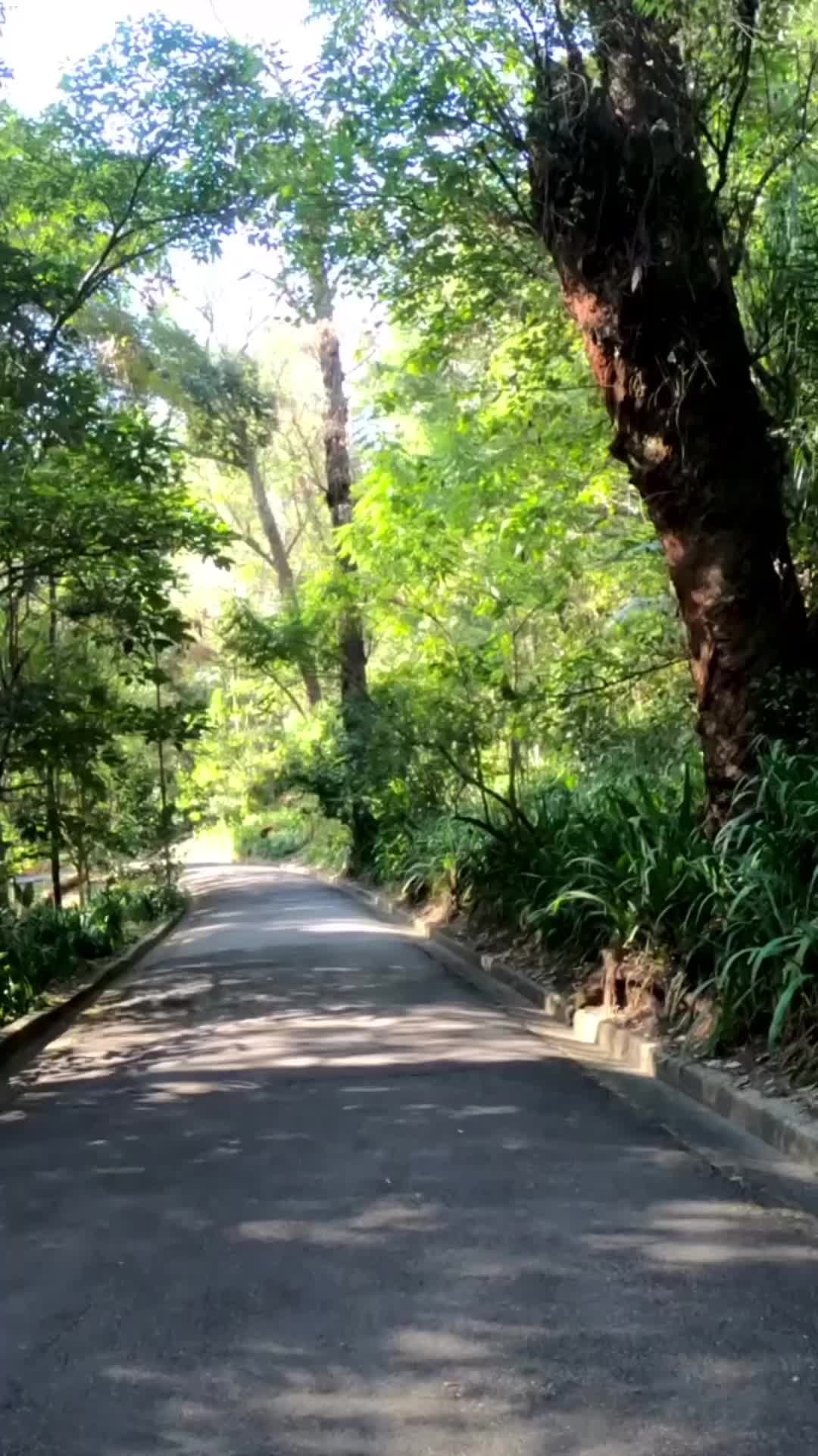 @Raizfit
